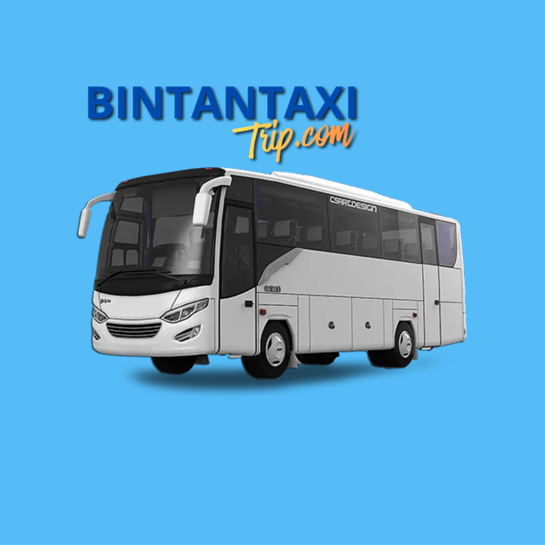 BUS 25/32 SEATER 6 HOURS